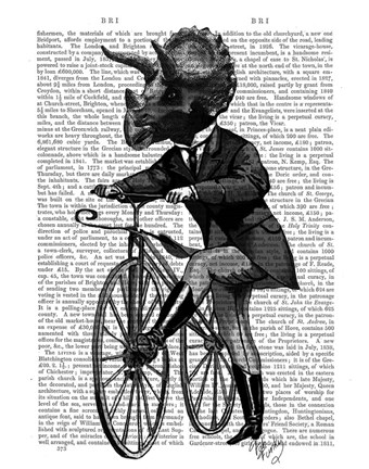 Framed Triceratops Man on Bike Dinosaur Print