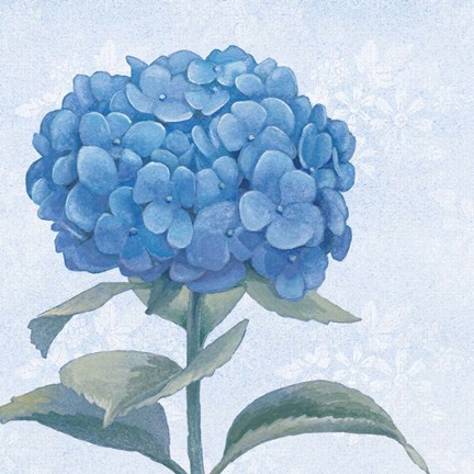 Framed Blue Hydrangea III Crop Print