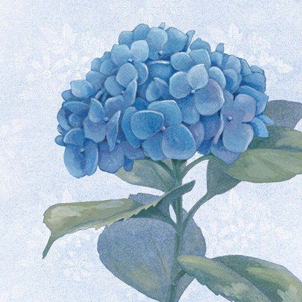 Framed Blue Hydrangea IV Crop Print