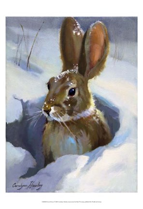 Framed Snow Bunny Print