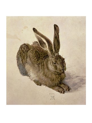 Framed Young Hare, c.1502 Print