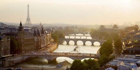 Framed Bridges over the Seine River, Paris Sepia Print