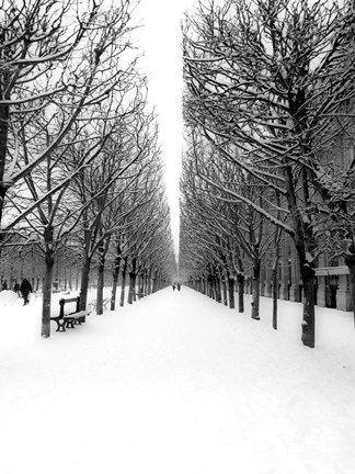 Framed Tuileries Garden under the Snow, Paris Print