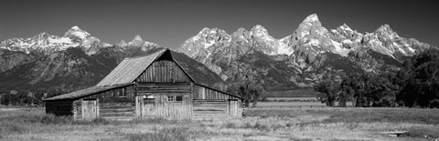 Framed Old barn on a landscape, Grand Teton National Park, Wyoming Print