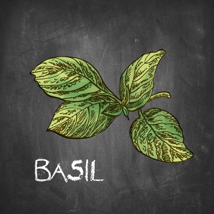 Framed Basil on Chalkboard Print