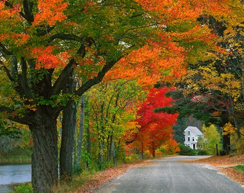 Framed New Hampshire, Andover Autumn color, England home Print