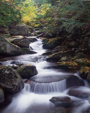 Framed Gordon Water Falls, Appalachia, White Mountains, New Hampshire Print