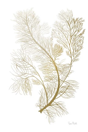 Framed Fern Algae Gold on White 2 Print