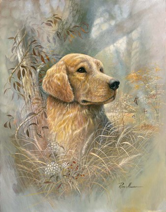 Framed Golden Beauty Print