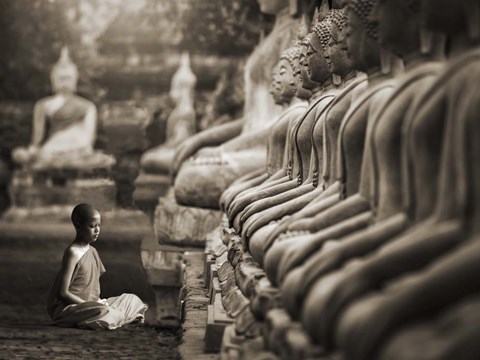 Framed Young Buddhist Monk praying, Thailand (sepia) Print