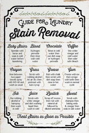 Framed Stain Removal Guide Print