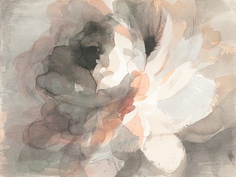 Framed Abstract Peony Print