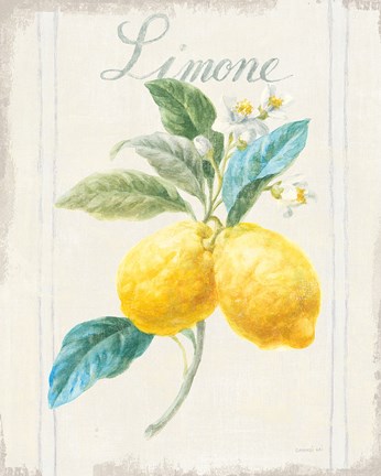Framed Floursack Lemon III v2 Print