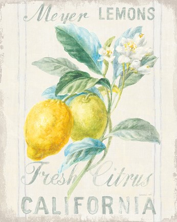 Framed Floursack Lemon II Print