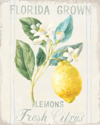 Framed Floursack Lemon I Print