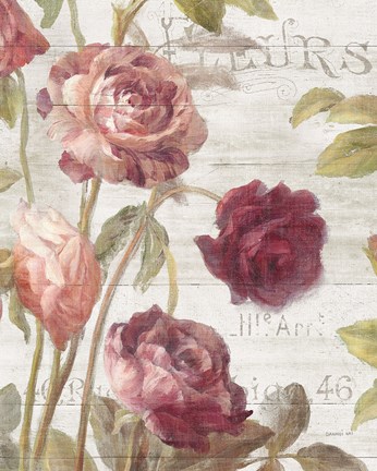 Framed French Roses II Print