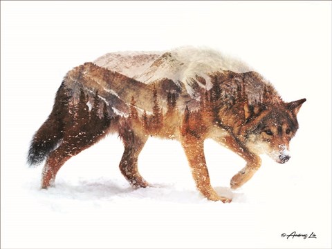 Framed Arctic Wolf Print