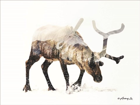 Framed Arctic Reindeer Print