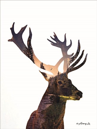 Framed Deer in the Forest Print