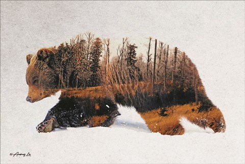 Framed Traveling Bear Print