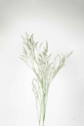 Framed Simple Stems VII Print