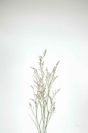 Framed Simple Stems V Print
