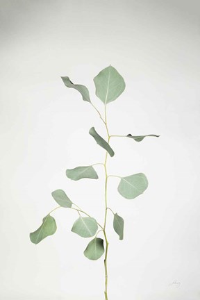 Framed Simple Stems I Print