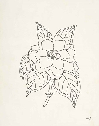 Framed Gardenia Line Drawing Print