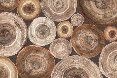 Framed Rings of Life II Print