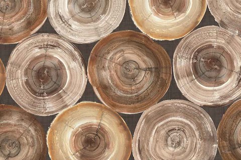 Framed Rings of Life I Print