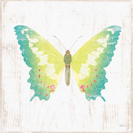 Framed White Barn Butterflies III Print