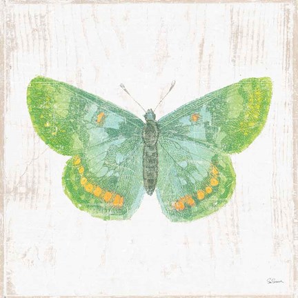 Framed White Barn Butterflies II Print