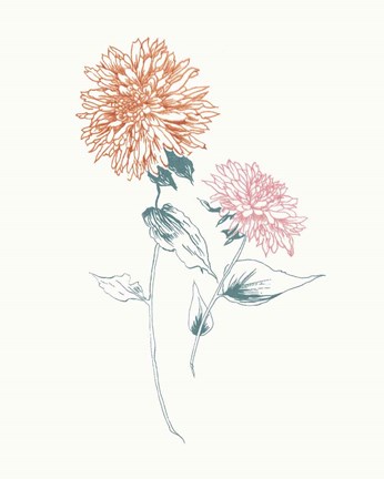 Framed Flowers on White IV Contemporary Bright Print