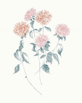 Framed Flowers on White VI Contemporary Bright Print
