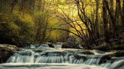 Framed Tremont at Sunrise Print