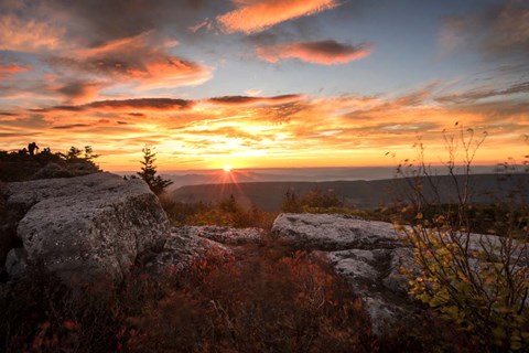 Framed Sunrise in Fall I Print