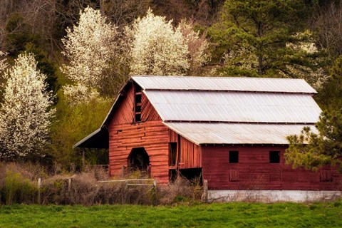 Framed Skylight Red Barn Print