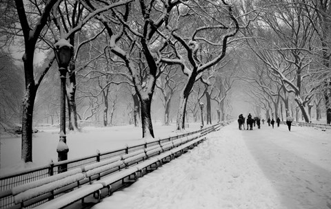 Framed Central Park Snow Print