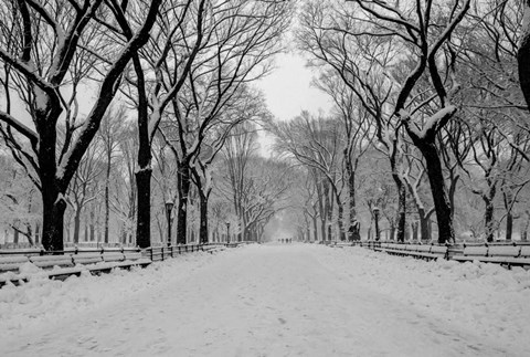 Framed Mall Washington DC Print