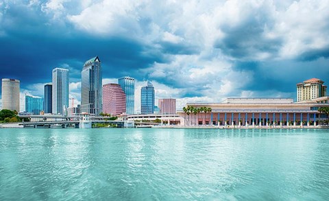 Framed Crystal Clear Print