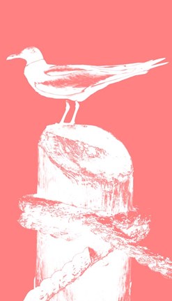 Framed Perching Seabird I Print