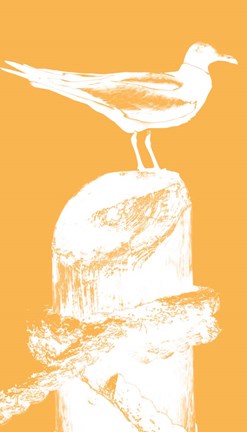 Framed Perching Seabird III Print