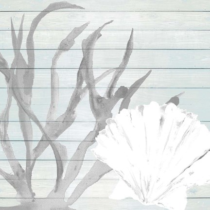 Framed Seashell on Blue Wood Print