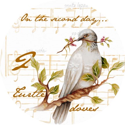 Framed Two Turtle Doves Print