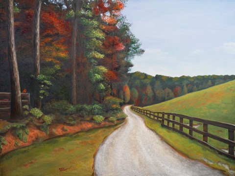 Framed Country Road I Print
