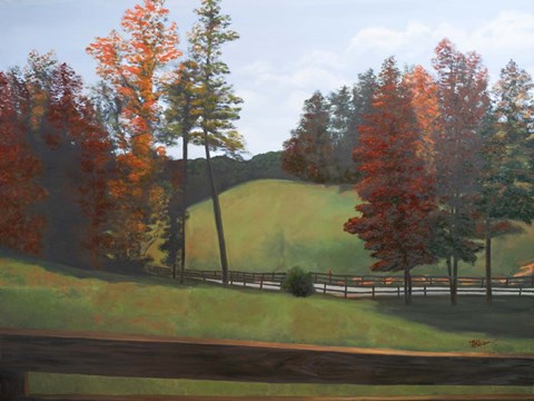 Framed Country Road II Print