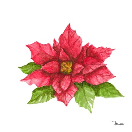 Framed Poinsettia II Print