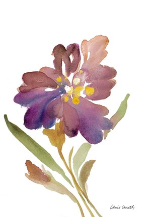 Framed Iris Print