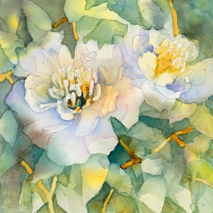 Framed White Peony Garden Print
