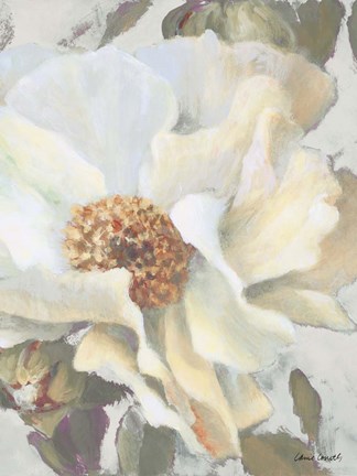 Framed White Peony and Buds Print